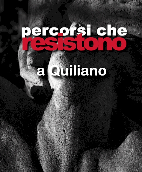 copertina libro percorsi che resistono