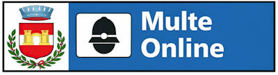 multe online